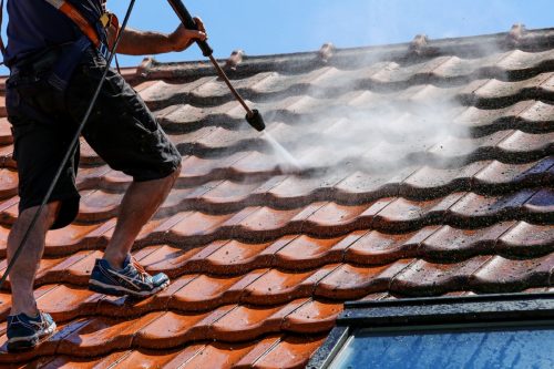 Roof tile cleaning